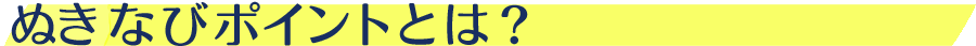 ぬきなびポイントとは？